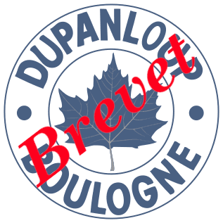 Brevet des Collèges